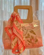 Bolsa-tranparente-M3830040-1
